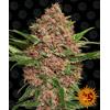 BARNEY'S FARM - PURPLE PUNCH AUTO - 3 SEMI