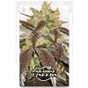 ***FINO A  ESAURIMENTO SCORTE*** PARADISE SEEDS - SPOETNIK #1 FEMMINIZZATA - 3 SEMI 