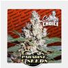 PARADISE SEEDS - L.A. AMNESIA  - CHONG'S CHOICE 3 SEMI