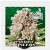 PARADISE SEEDS - MENDOCINO SKUNK  - CHONG'S CHOICE 3 SEMI