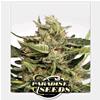 PARADISE SEEDS - VERTIGO AUTO - 3 SEMI 