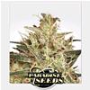 PARADISE SEEDS - ATOMICAL HAZE FEM - 10 SEMI  