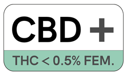 Semi Femminizzati THC < 0.5%
