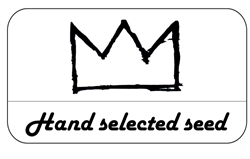 Hand Selected Bulk