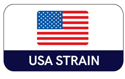 USA Strain
