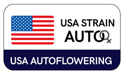Autofiorenti Femminizzati
