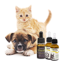 CBD oil for pets