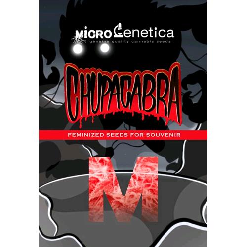 MICROGENETICA - CHUPACABRA FEM - 3 SEEDS