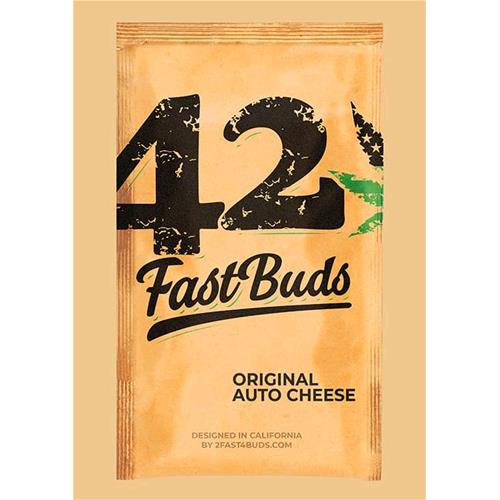 FAST BUDS ORIGINAL - AUTO CHEESE - 1 SEED 