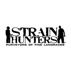 GREEN HOUSE - MONEY MAKER - 3 SEMI (STRAIN HUNTERS)