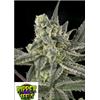 RIPPER SEEDS - OLD SCHOOL - 3 SEEDS