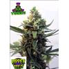 RIPPER SEEDS - TOXIC - 3 SEMI