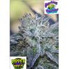 RIPPER SEEDS - WASHING MACHINE - 3 SEMI