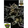 ***OUT OF STOCK*** RIPPER SEEDS - ZOMBIE KUSH - 3 SEEDS
