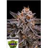 RIPPER SEEDS - OMG - 5 SEMI