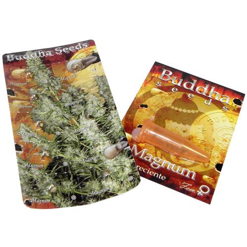 BUDDHA SEEDS - MAGNUM AUTO - BLISTER 10 SEEDS