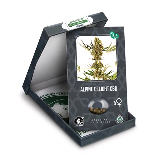 SENSI SEEDS - ALPINE DELIGHT CBD AUTO - 3 SEEDS