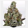 PARADISE SEEDS - RAINBOW ROAD FEM - 3 SEMI
