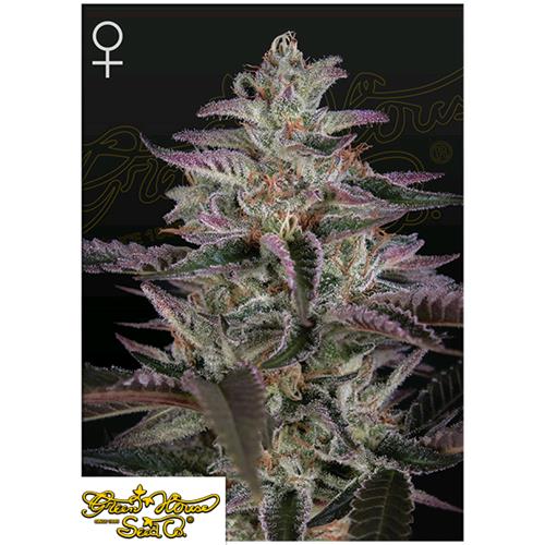 GREEN HOUSE - BANANA KRUMBLE FEM - 5 SEMI