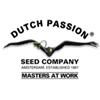 DUTCH PASSION - BLUEBERRY AUTO - 100 SEMI