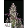 FAST BUDS - LEMON PIE AUTO - 3 SEMI