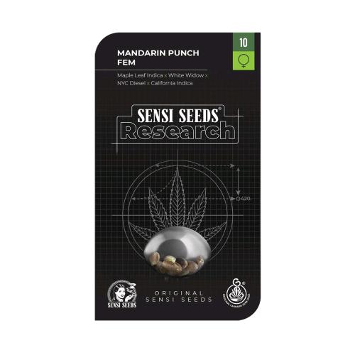 SENSI SEEDS - MANDARIN PUNCH FEMINIZED - RESEARCH - 3 SEEDS