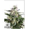 WHITE LABEL - WHITE SKUNK AUTOMATICA - 3 SEMI