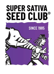 Super Sativa Seed Club