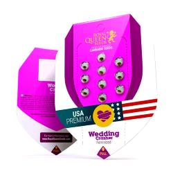 ROYAL QUEEN SEEDS - WEDDING CRASHER FEM - 10 SEEDS - USA PREMIUM 