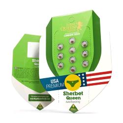 ROYAL QUEEN SEEDS - SHERBET QUEEN AUTO - 5 SEMI - USA PREMIUM 