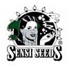 SENSI SEEDS - MICHKA FEMMINIZZATA - 3 SEMI