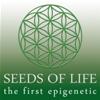 SEEDS OF LIFE - KABALA AUTOFIORENTE  - 3 SEMI