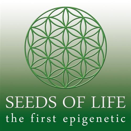SEEDS OF LIFE - SOL HAZE AUTOFLOWERING - 3 SEEDS