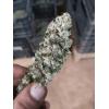 HSB - CANAPA SATIVA - KUSH + CBG 9/14 % - THC 0.1% - 25 SEMI