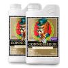 ADVANCED NUTRIENTS - PH PERFECT CONNOISSEUR COCO BLOOM A+B 2X - 10L