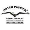 DUTCH PASSION - BLUE MAZAR AUTO - 100 SEMI 