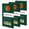 BARNEY'S FARM - BANANA PUNCH FEM - 1 SEME
