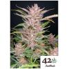 FAST BUDS - GORILLA PUNCH AUTO - 10 SEMI