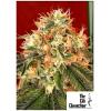 THE CALI CONNECTION - DEADHEAD OG AUTO - 6 SEMI