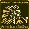 MCS - MICHIGAN AMNESIA FEM - 3 SEMI +1