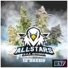 BSF - ALL STAR USA AUTOMIX - PACK 12 SEMI