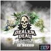 BSF - DEALER DEAL XXL AUTOMIX - PACK 12 SEMI