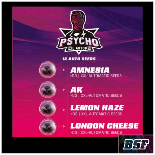 BSF - PSYCHO XXL AUTOMIX - PACK 12 SEEDS