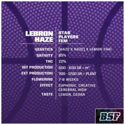 BSF - LEBRON HAZE FEM - 2 SEMI