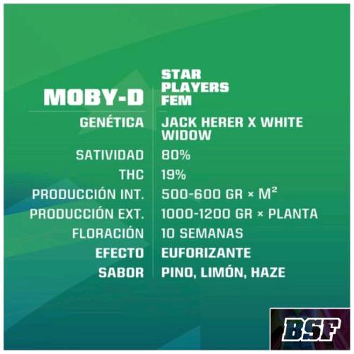 BSF - MOBY-D FEM - 12 SEEDS