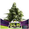 BSF - SLH FEM - 2 SEMI