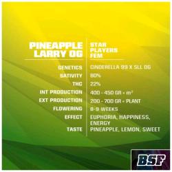 BSF - PINEAPPLE LARRY OG FEM - 4 SEEDS