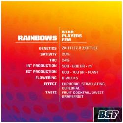 BSF - RAINBOWS FEM - 4 SEEDS