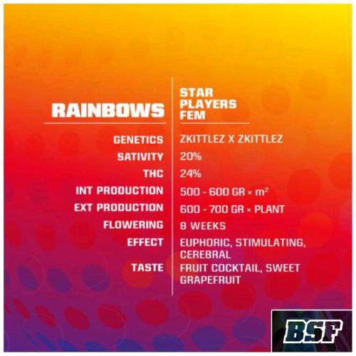 BSF - RAINBOWS FEM - 4 SEEDS