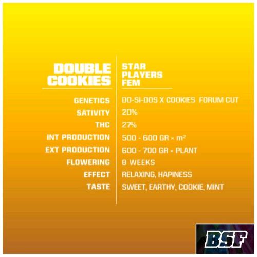 BSF - DOUBLE COOKIES FEM - 4 SEMI